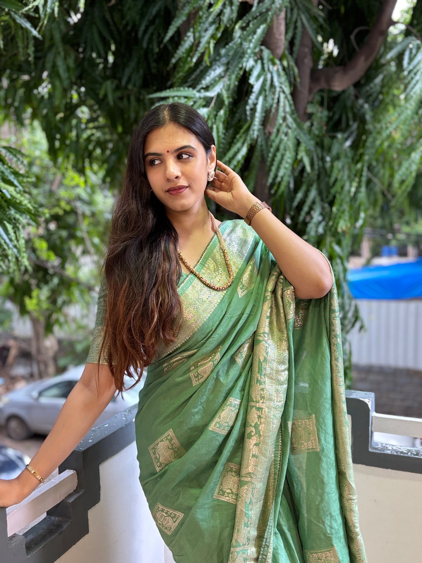 Banarasi weave saree