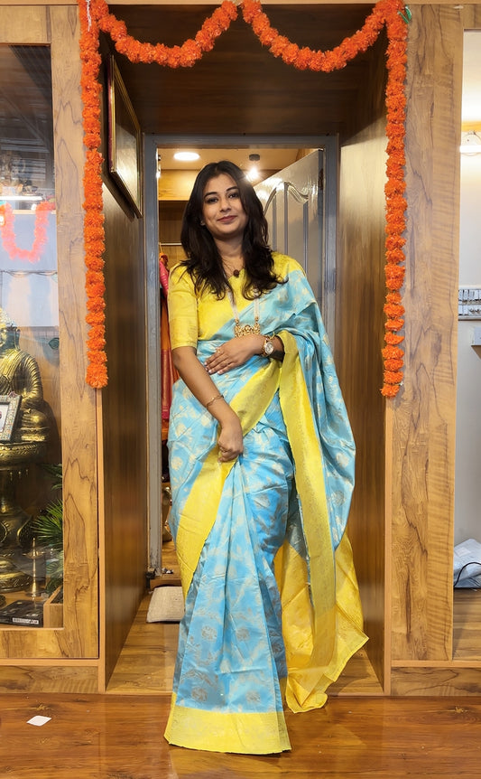 Banarasi saree 6