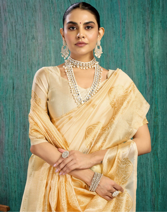 Kanchipuram silk saree