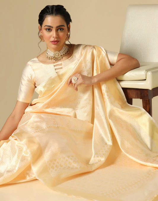 Kanchipuram Silk Saree