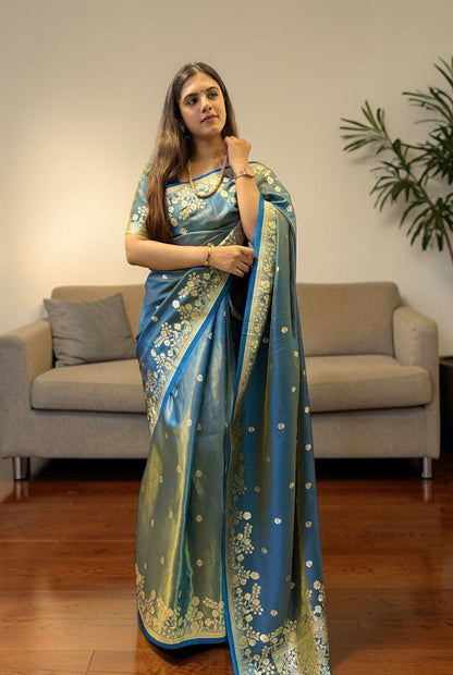 Banarasi organza saree