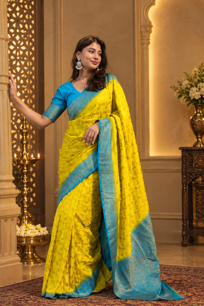 Traditional jaal pattern saree