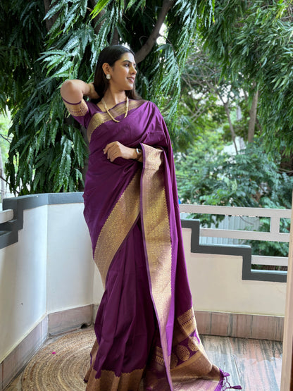 Banarasi weave saree