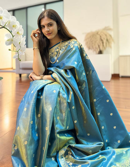 Banarasi organza saree