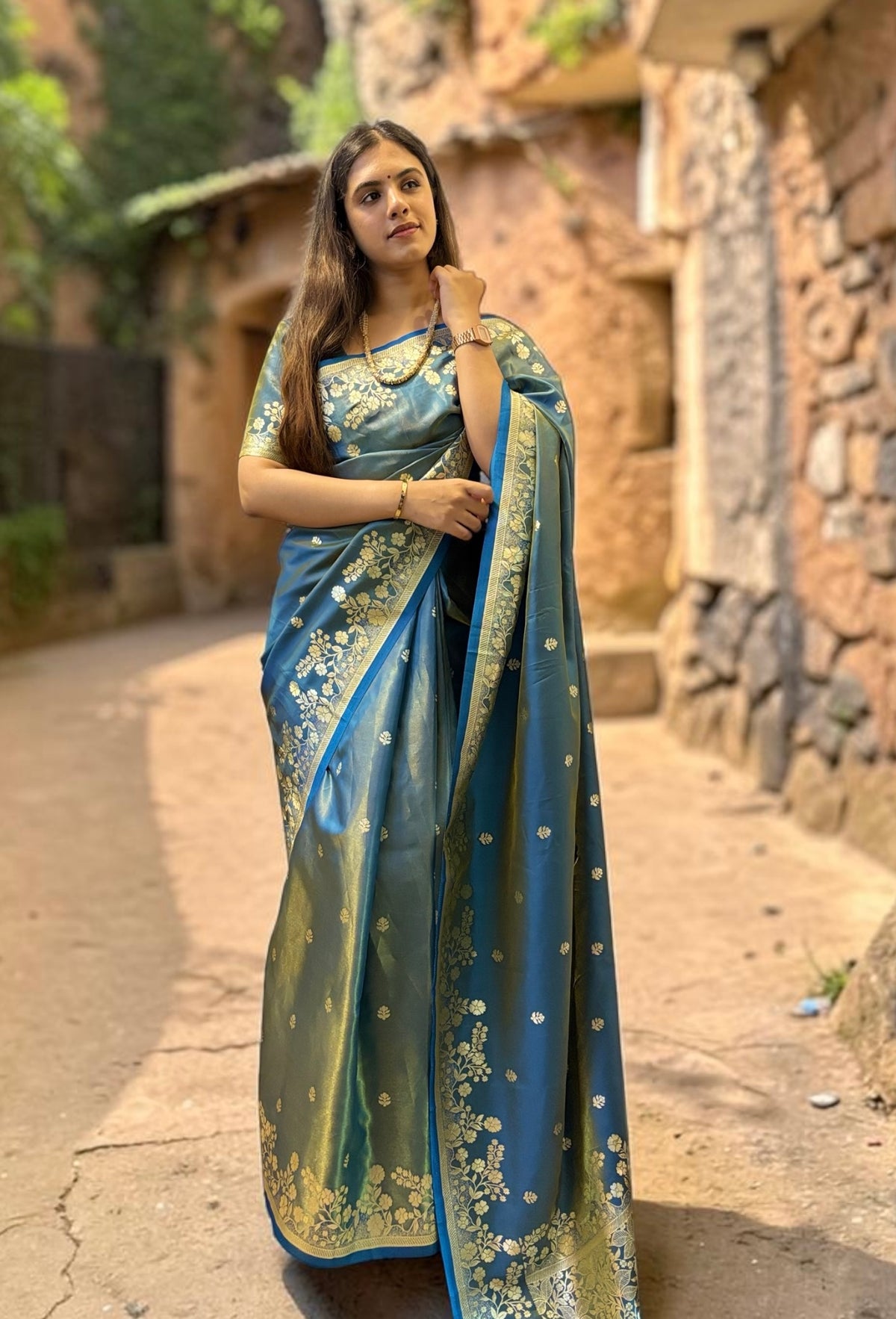 Banarasi organza saree