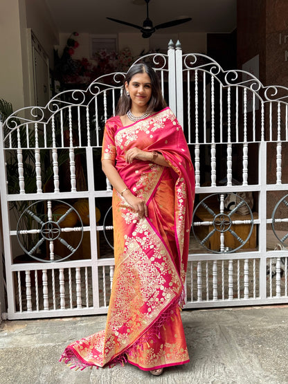 Banarasi organza saree