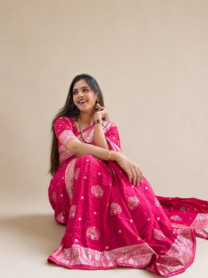 Banarasi weave saree