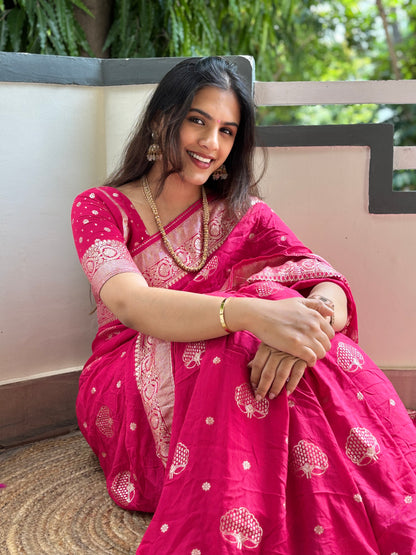 Banarasi weave saree