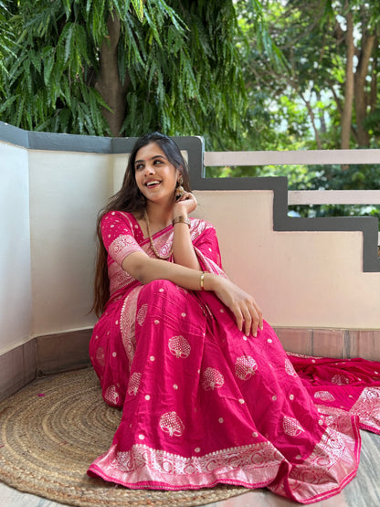 Banarasi weave saree